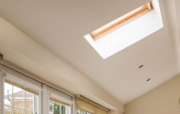 Rosemount conservatory roof insulation companies