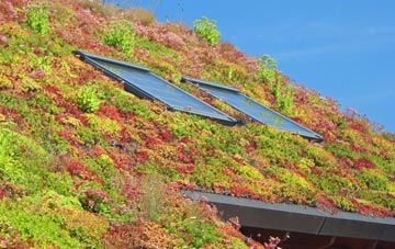 Rosemount living roof systems
