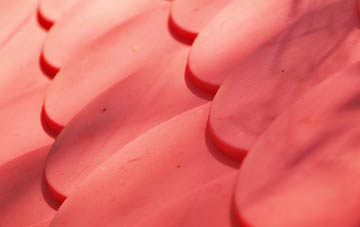 Rosemount plastic roof costs