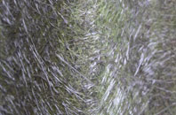 Rosemount fibreglass roof work