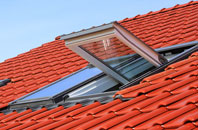 Rosemount roof window