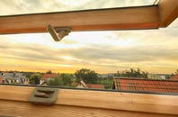rated Rosemount roof window companies